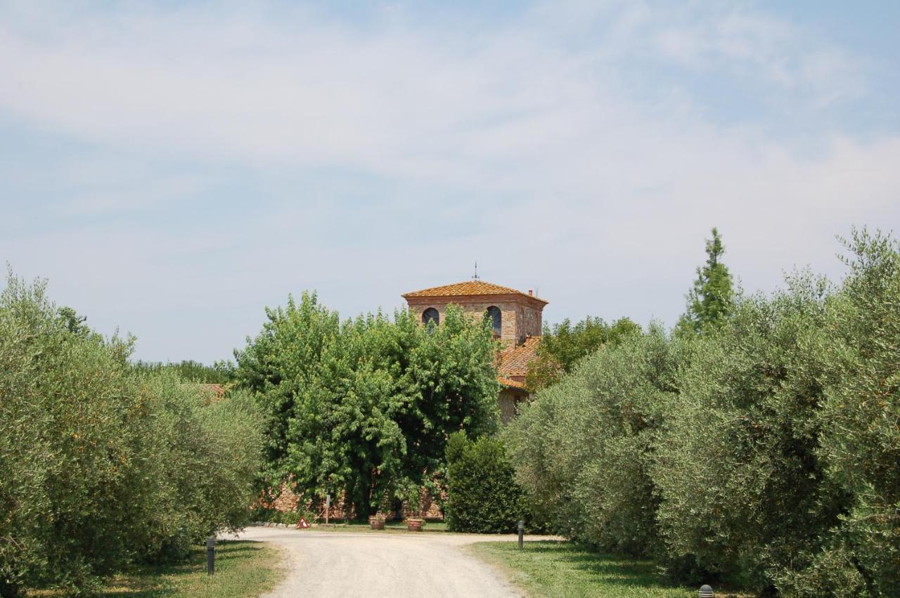 Agriturismo Il Selvino Terricciola Dış mekan fotoğraf
