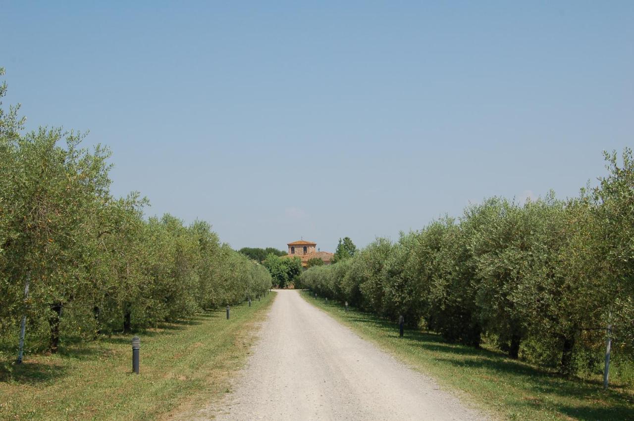 Agriturismo Il Selvino Terricciola Dış mekan fotoğraf