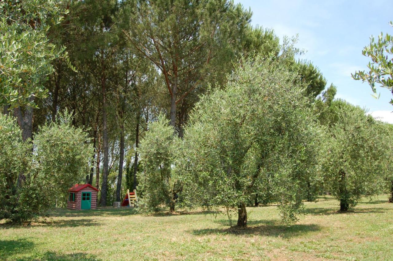 Agriturismo Il Selvino Terricciola Dış mekan fotoğraf