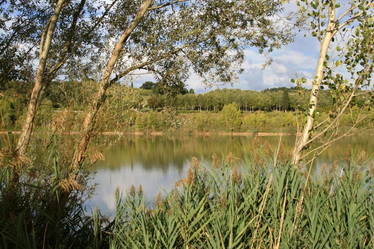 Agriturismo Il Selvino Terricciola Dış mekan fotoğraf
