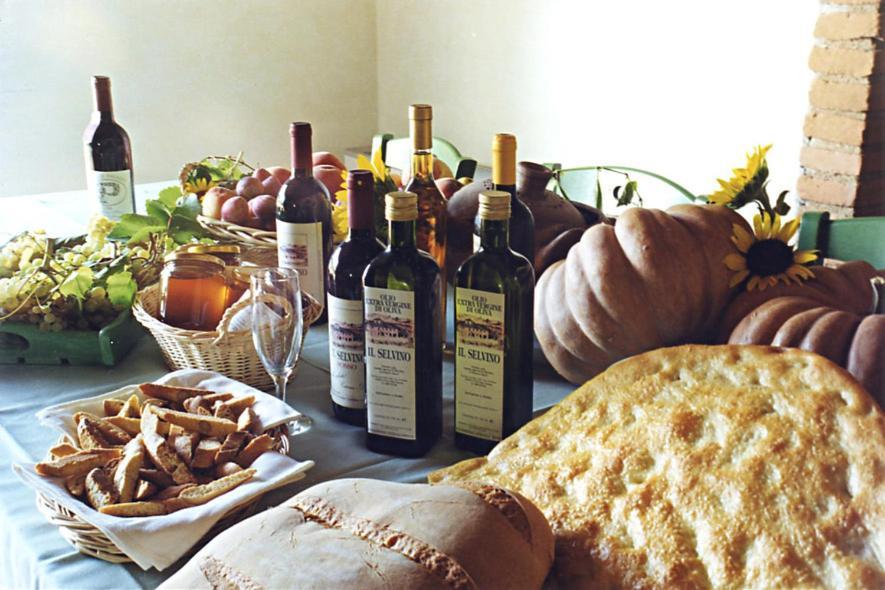 Agriturismo Il Selvino Terricciola Dış mekan fotoğraf