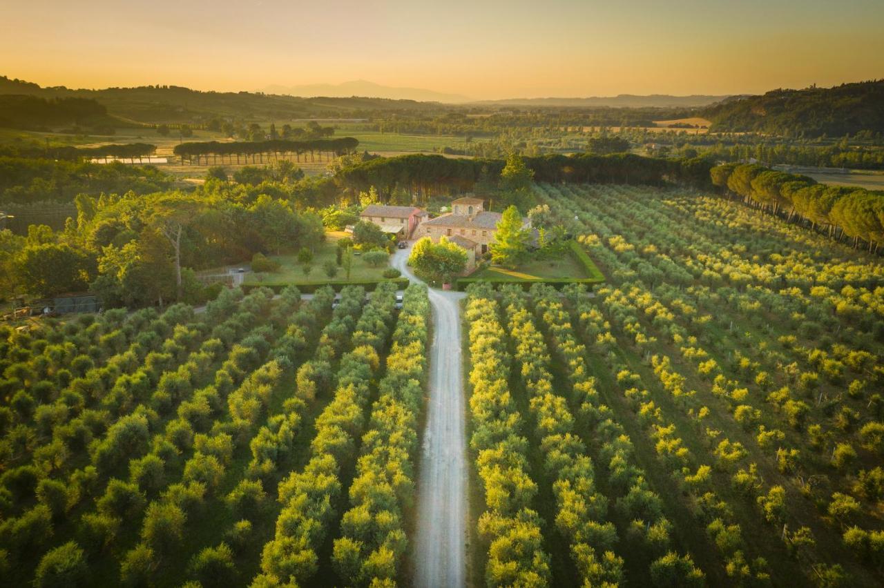 Agriturismo Il Selvino Terricciola Dış mekan fotoğraf